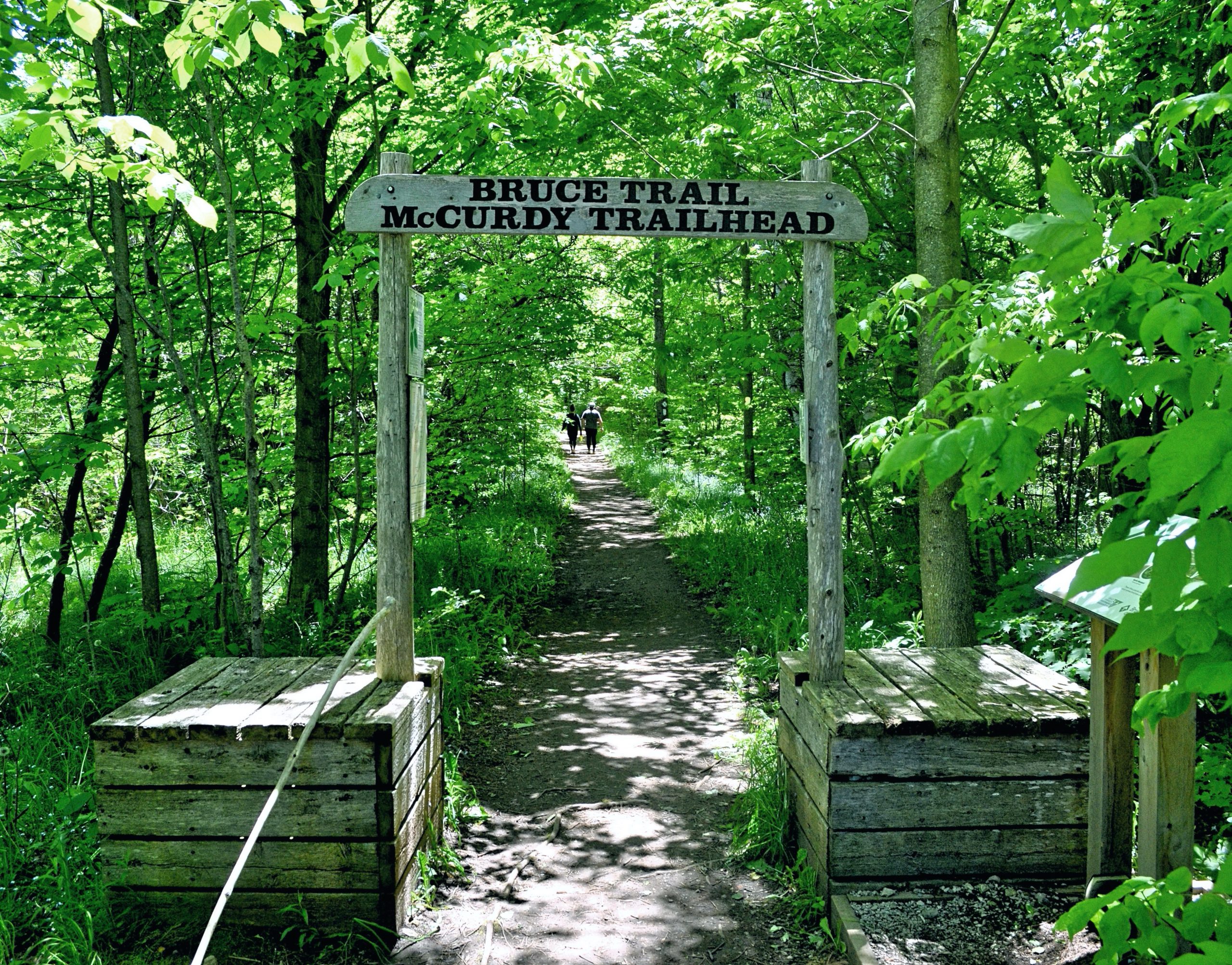 The Bruce Trail