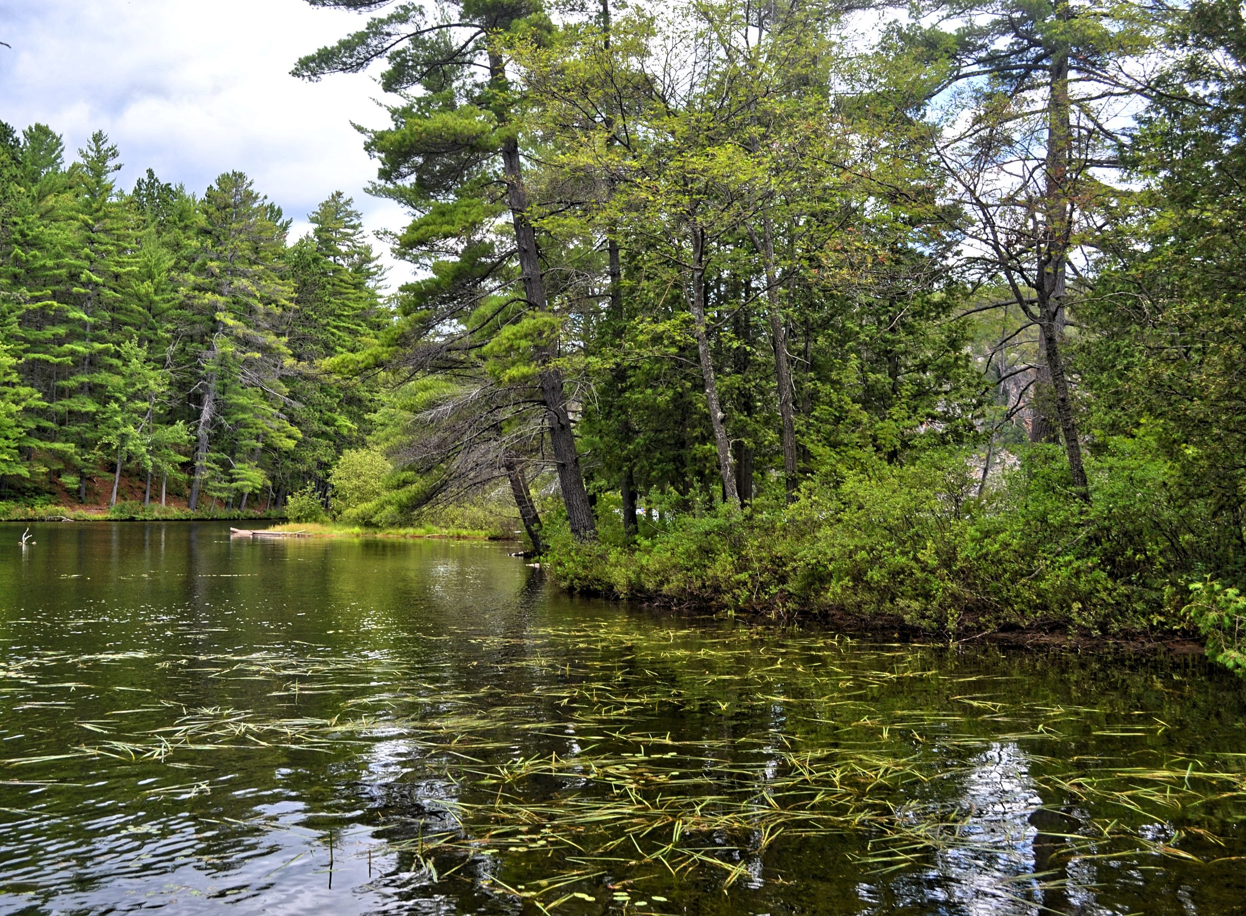 Bon Echo Creek Trail