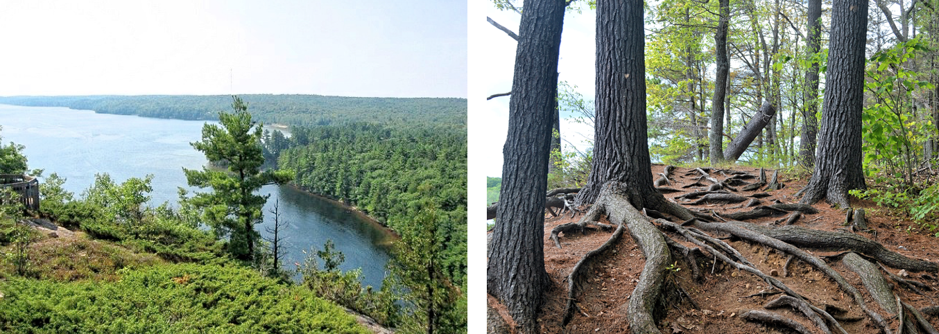 Cliff Top Trail