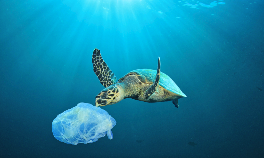 How floating robots are currently removing 30 million pounds of trash ...