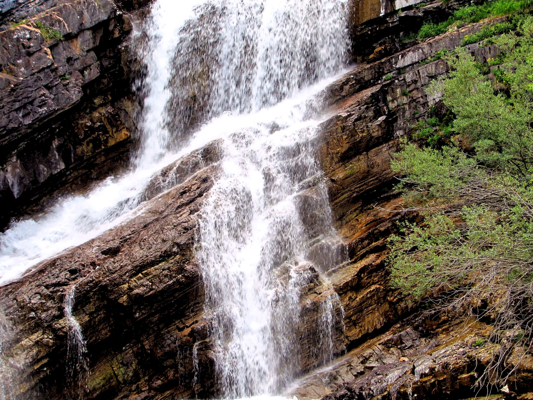 Cameron Falls Trail | TravelBox - Global Trip Activity Planner