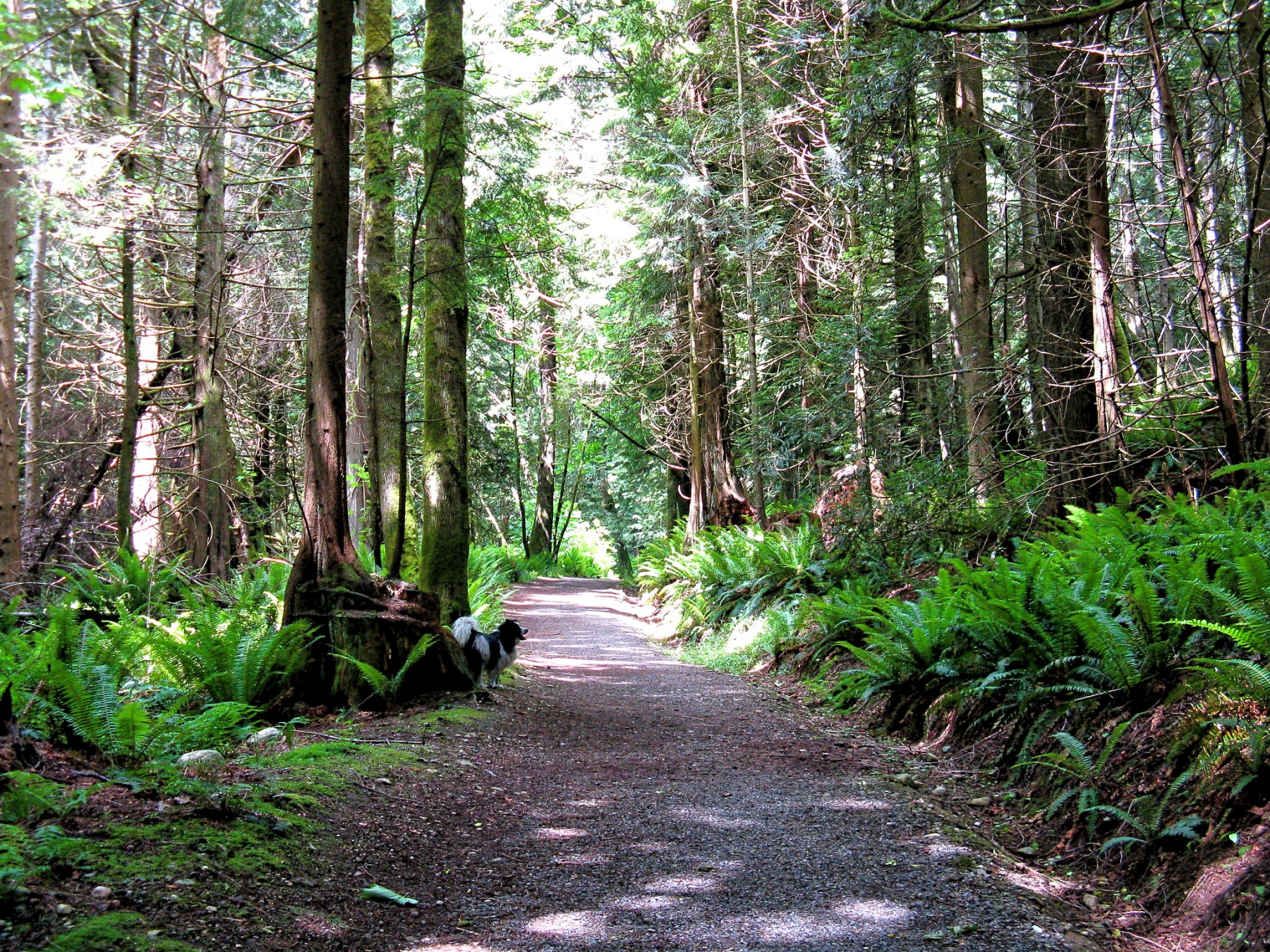 Killarney Lake Park Trail | TravelBox - Global Trip Activity Planner