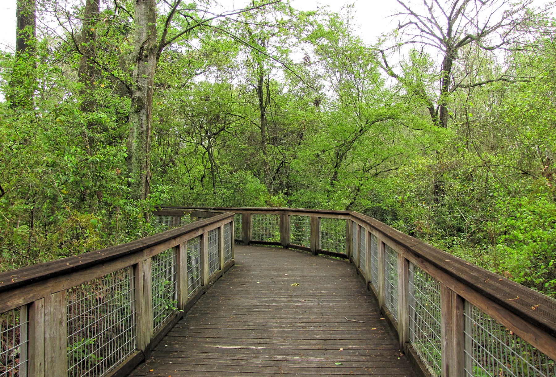 Bluebonnet Swamp Nature Center | TravelBox - Global Trip Activity Planner